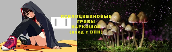 мдпв Абинск
