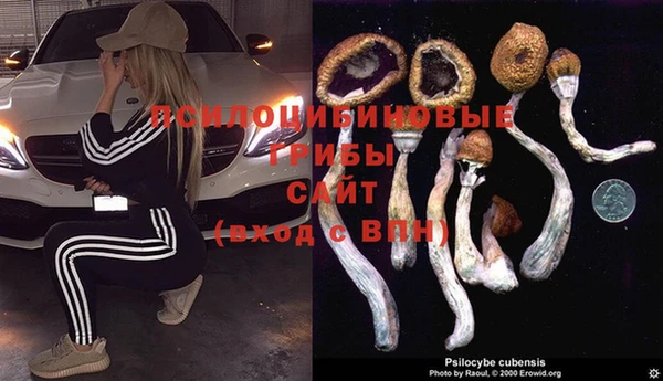 MDMA Premium VHQ Абдулино